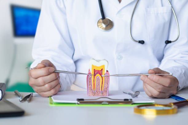 Best Emergency Dentist for Lost Fillings or Crowns in Nashville, TN